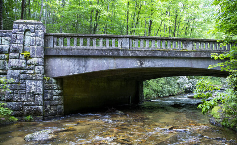 Pisgah National Forest