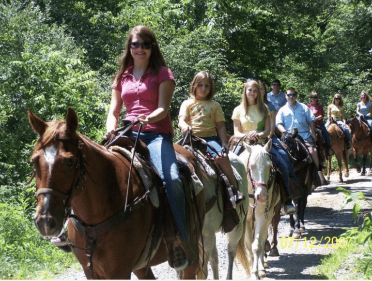 The Pisgah Stables